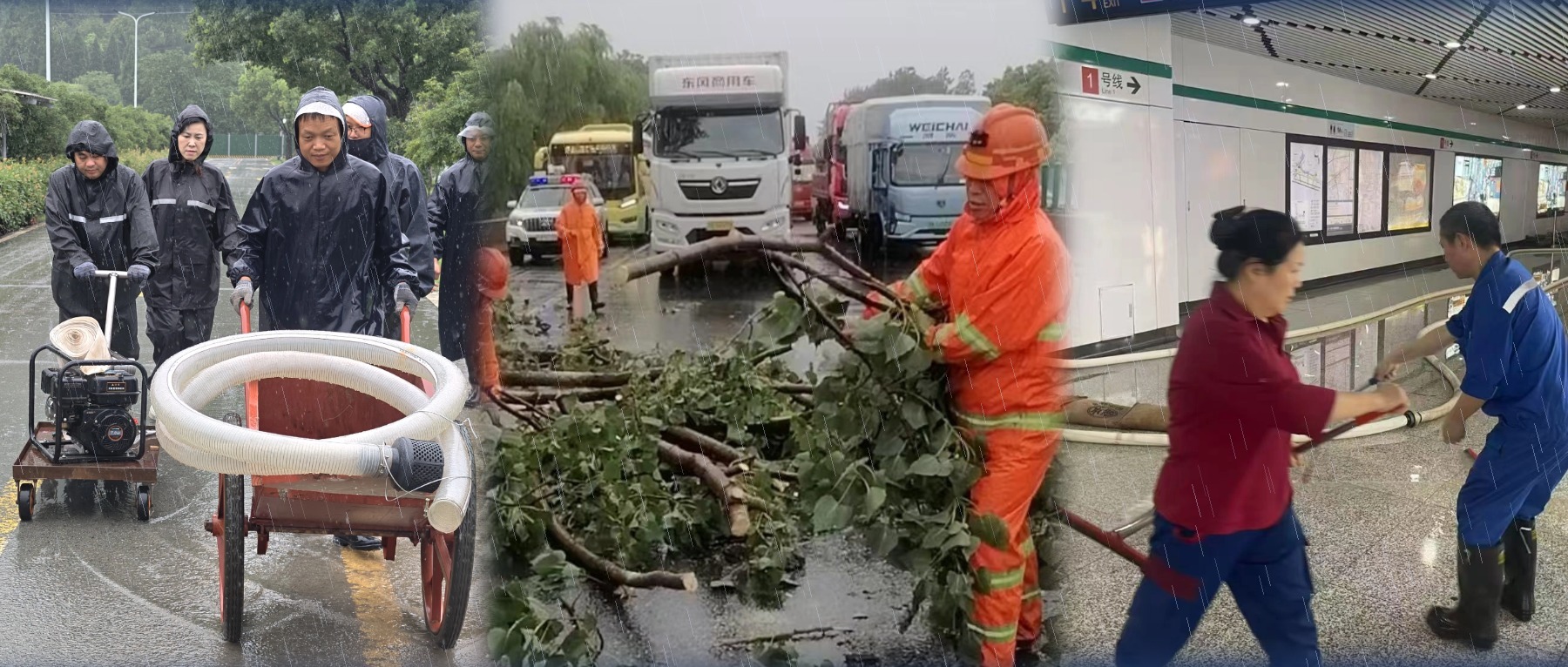 微信图片_20260812091231_14_72.jpg